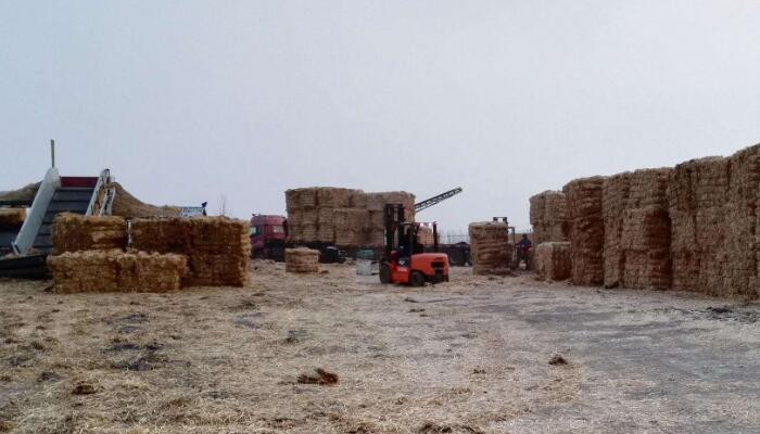 天然氣充氣機(jī)